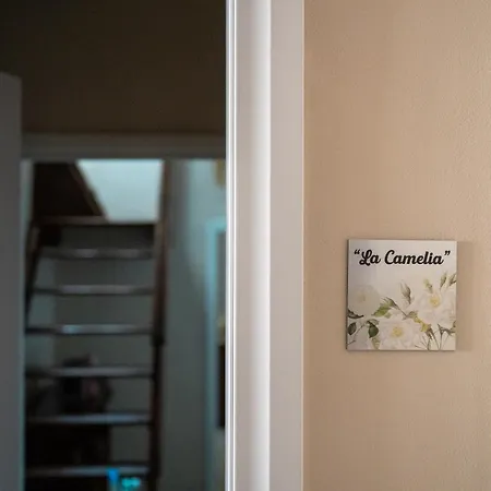 Guest house Paciocchella *